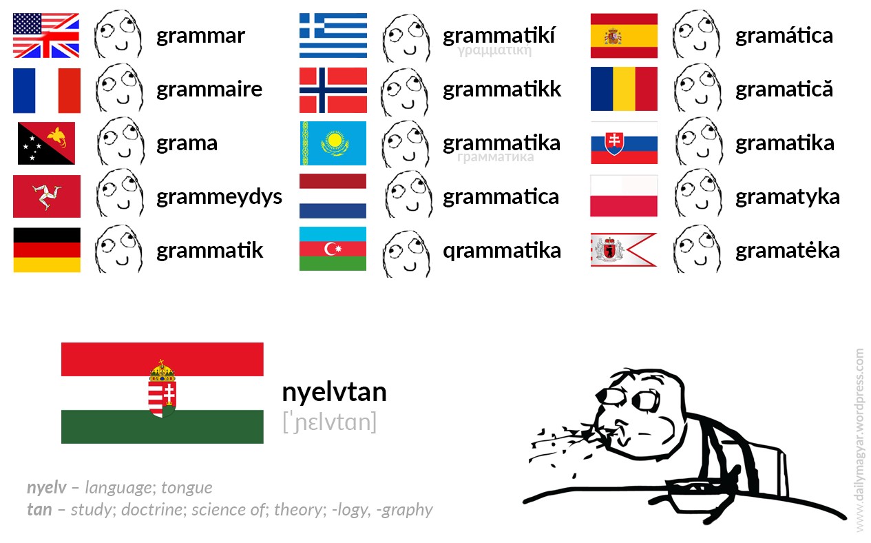 nyelv